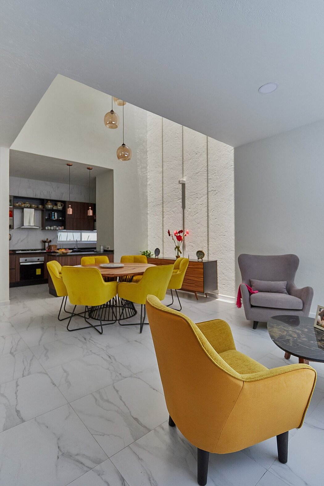 文艺复兴之家丨墨西哥丨Moctezuma Estudio de Arquitectura-3