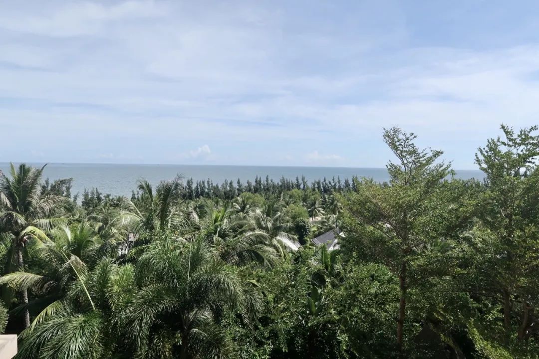 国内首家莱佛士酒店-61