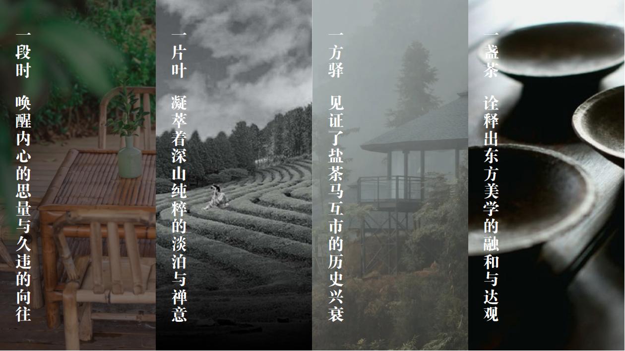 “驿盏茶时”茶文化驿站农文旅项目-7