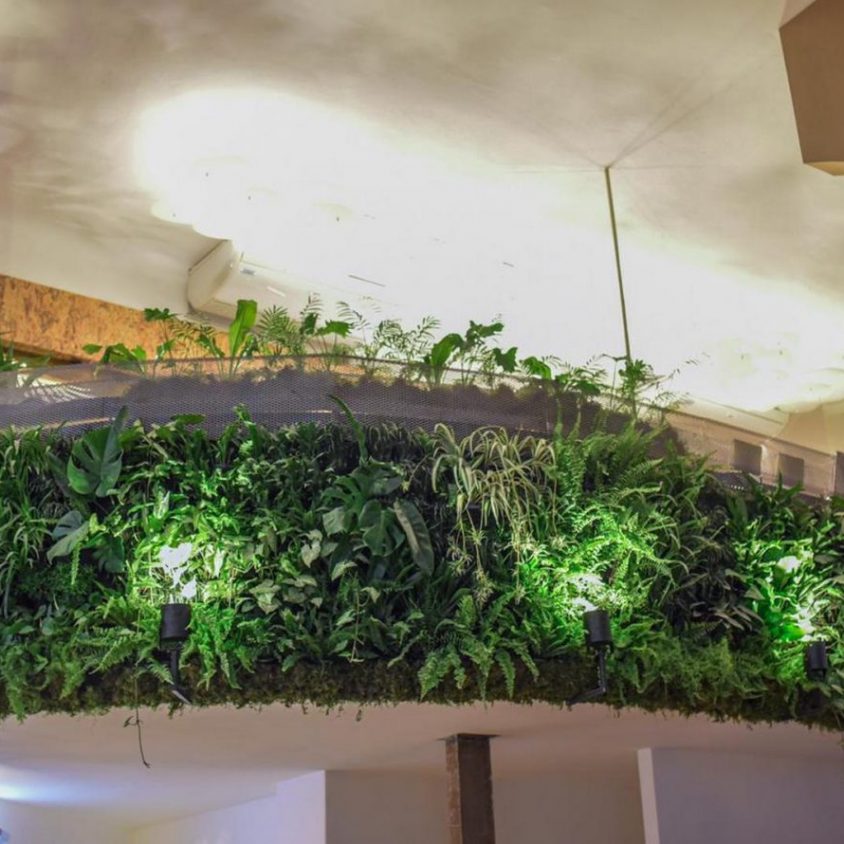 Casa DIR 2019 空间展示-56