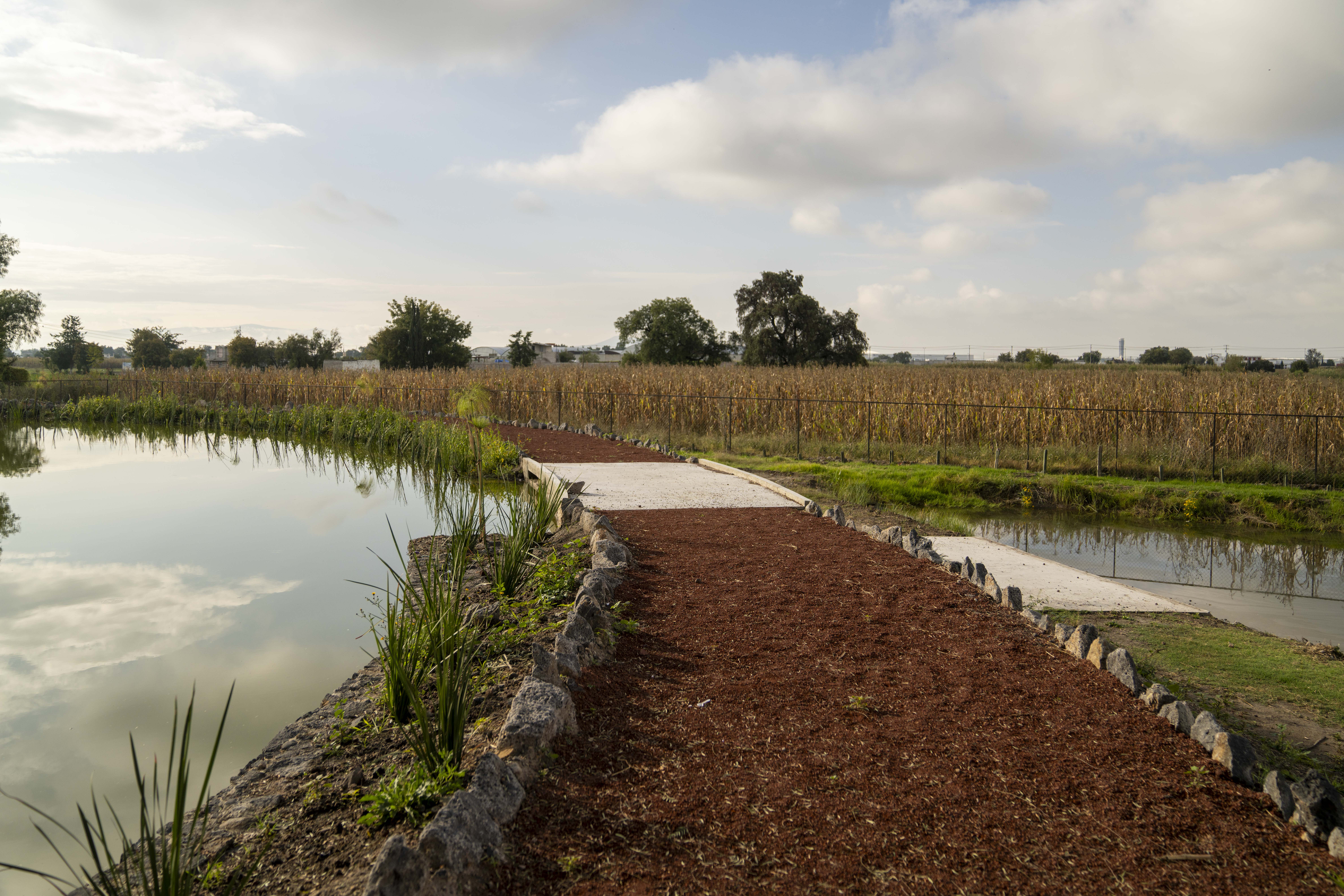 Pooling Xolo· · Taller Capital丨墨西哥-22