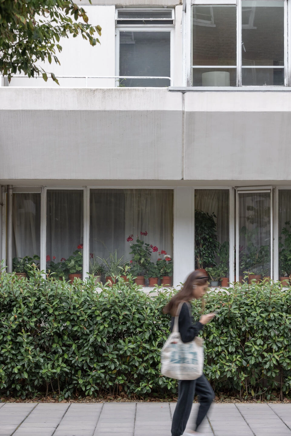 伦敦的布伦斯威克中心丨Patrick Hodgkinson-36