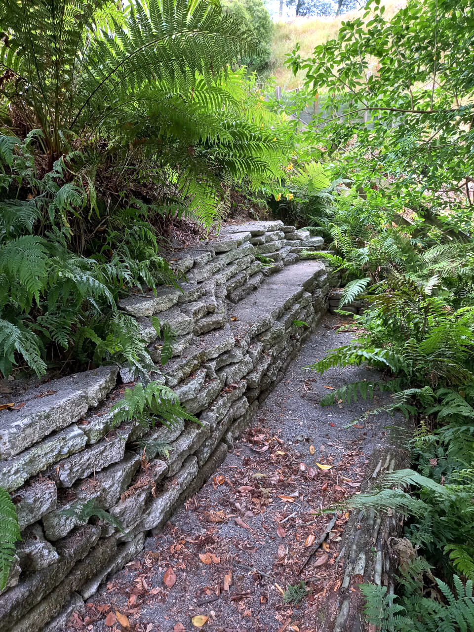 To Whenua花园丨新西兰丨Elle（园艺师,景观设计师和艺术家）-62