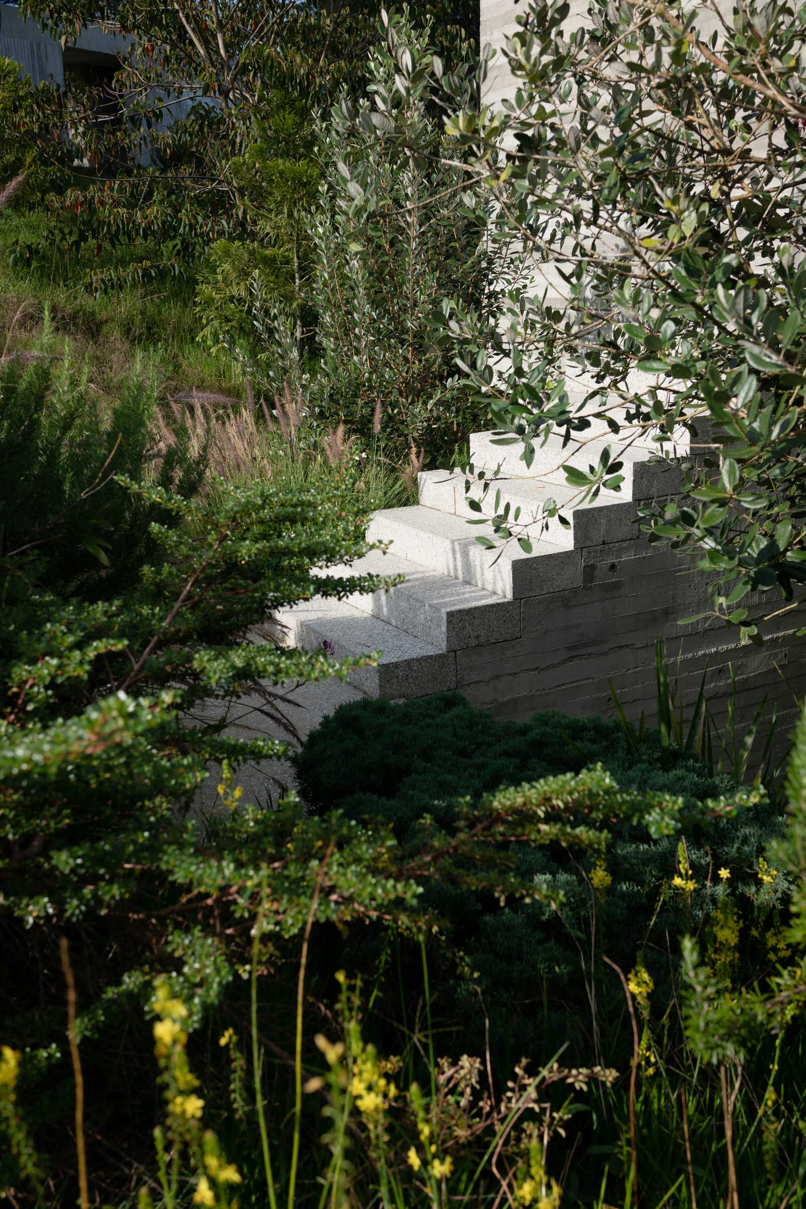 Ballen House · Andes Mountain 退隐之所丨哥伦比亚丨LCLA Office,Clara Arango-26