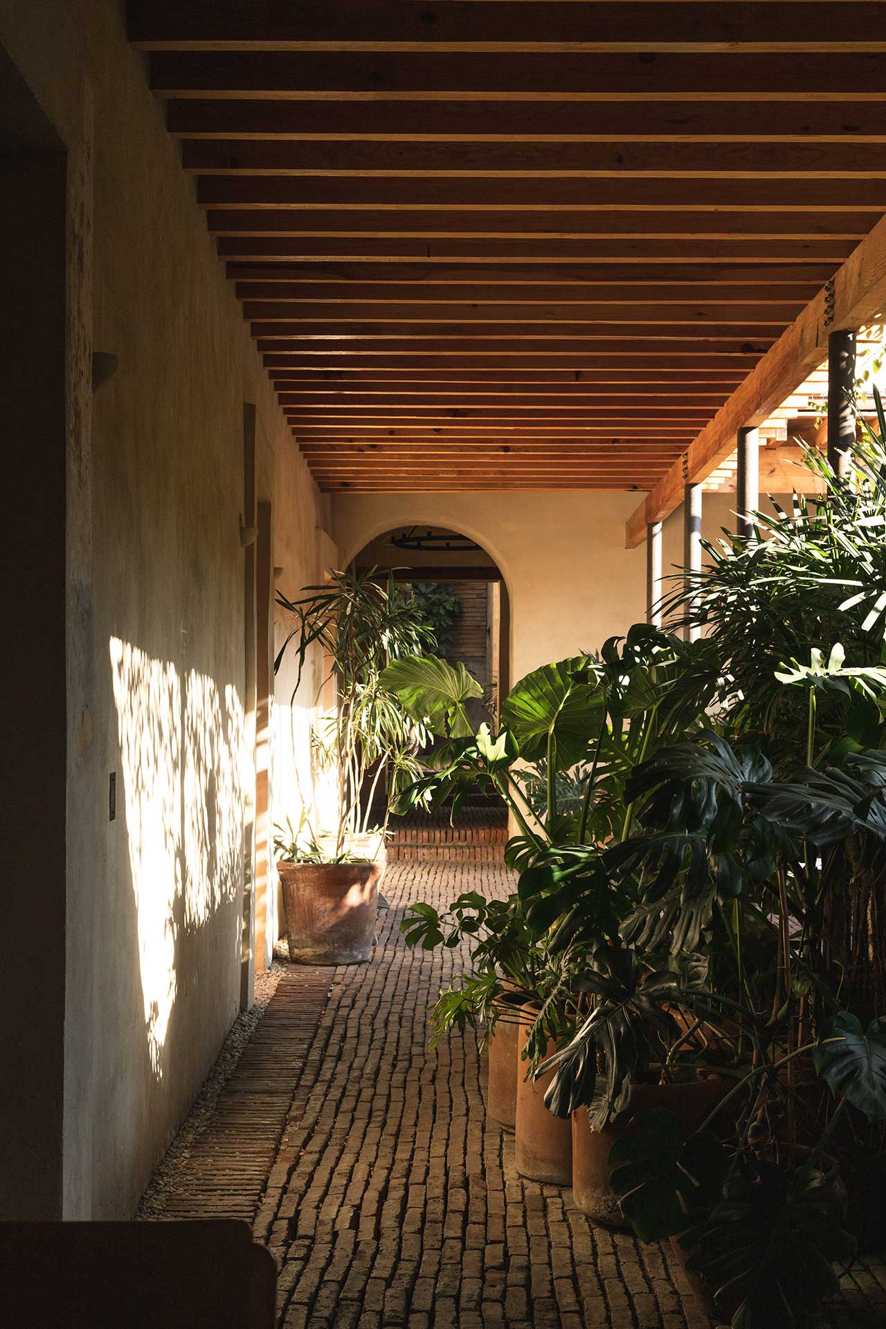 埃斯孔迪多酒店丨墨西哥瓦哈卡丨阿尔贝托·卡拉赫,费尔南达·罗曼迪亚等-23