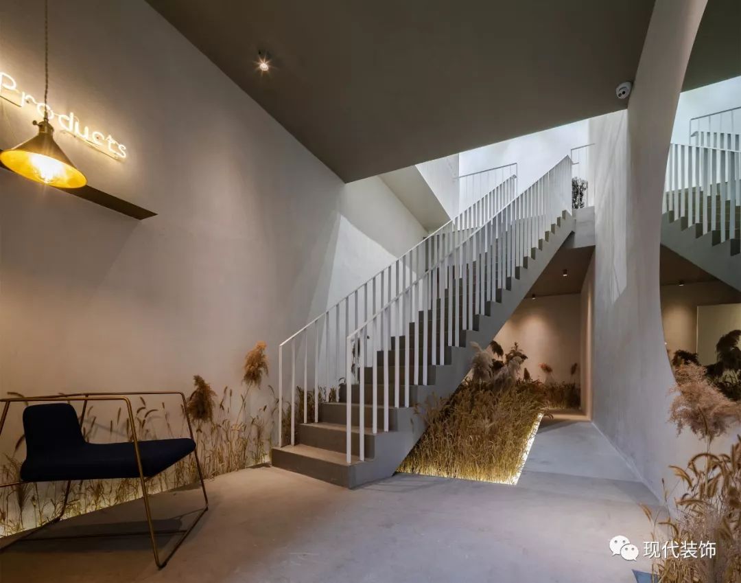 绿意盎然的小山丘舍 | T·PProducts 体验店-4