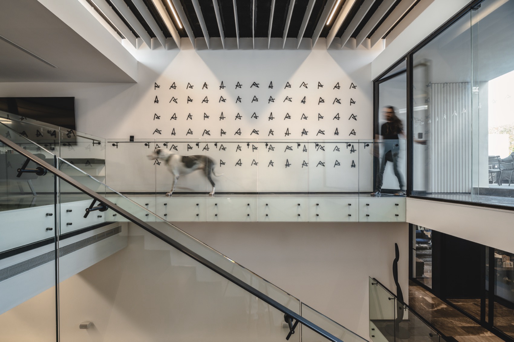 THE ASYLUM办公空间丨墨西哥丨Arkham Projects-66