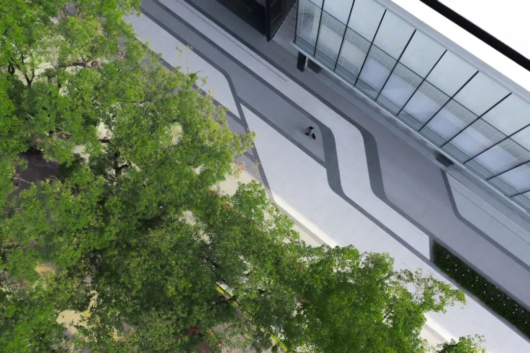 萌芽新生，樟木成林 | 长沙雨花金茂智慧科学城-46