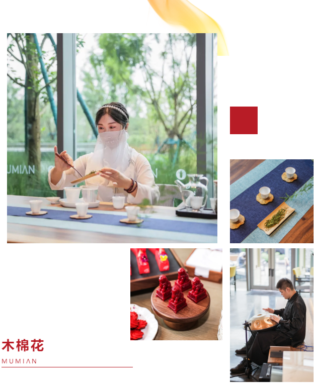 开门纳客丨东进新启航·木棉正当红-26