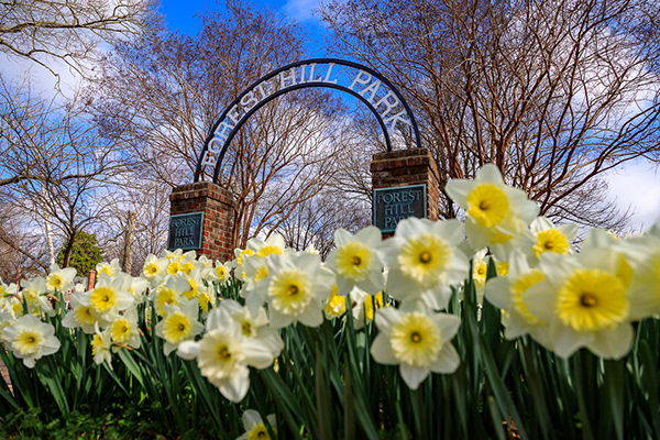 Richmond 及周边地区景观设计丨New ZealandRichmond-3