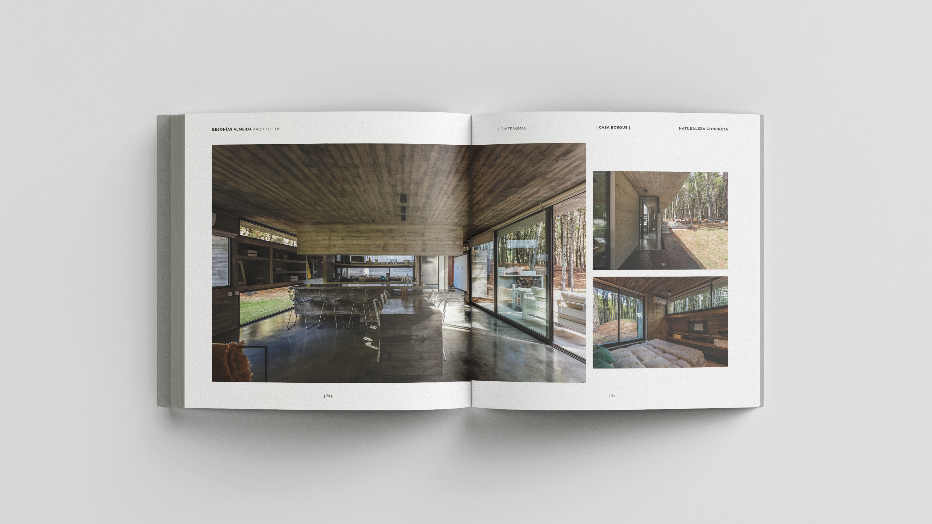 具体自然丨阿根廷-24