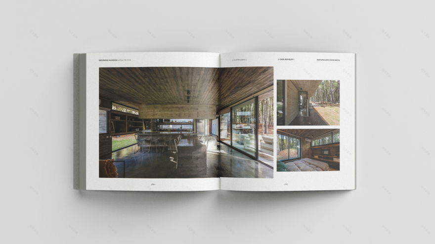 具体自然丨阿根廷-24