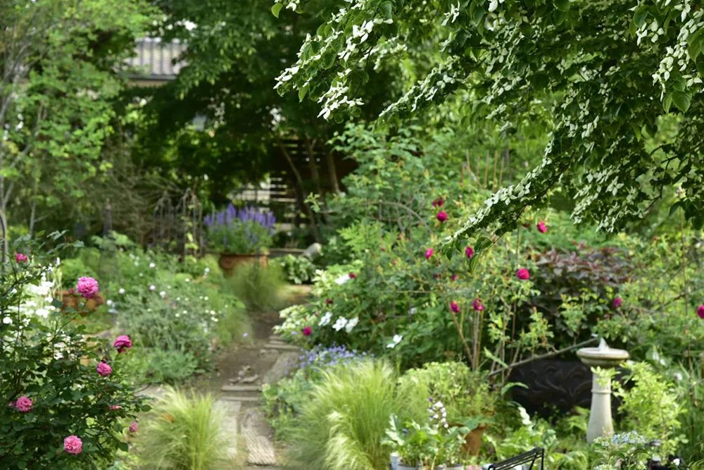 25年前的自制老花园，原来还可以这么美-12