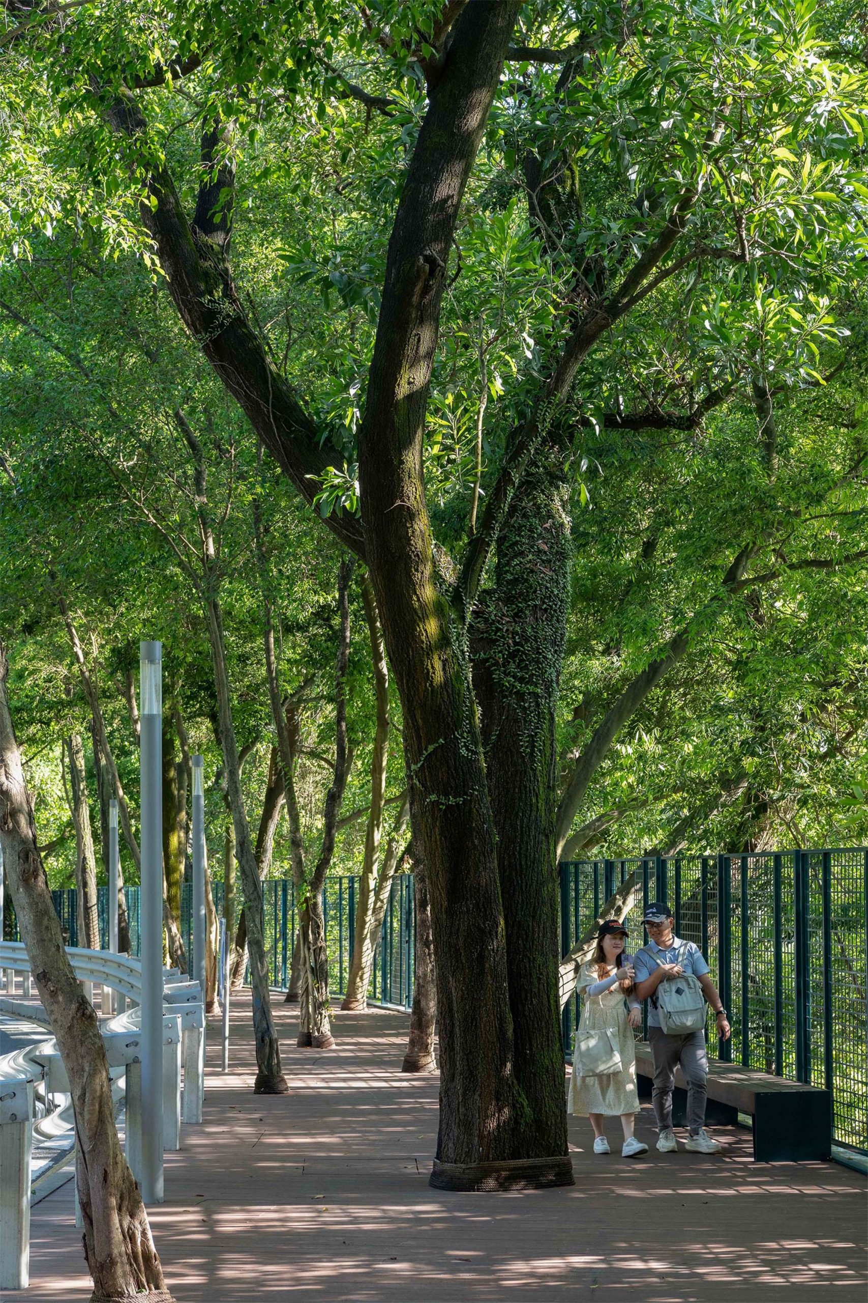 环西丽湖绿道(一期)示范段丨中国深圳丨深圳翰博设计股份有限公司-37