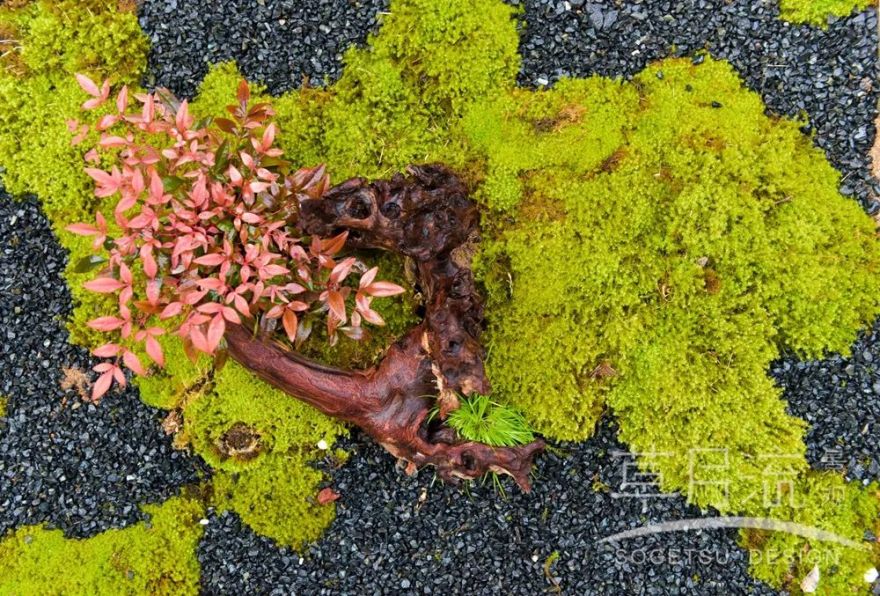 日本庭院设计丨小崛远洲-15