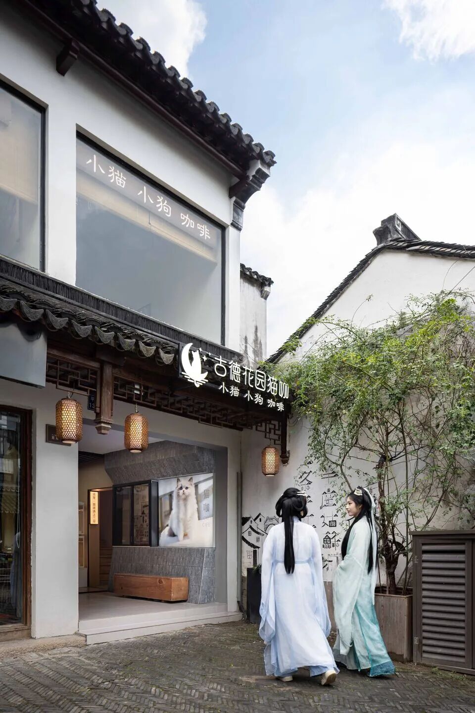 Tata Party猫咖丨中国苏州丨Parallect Design-10