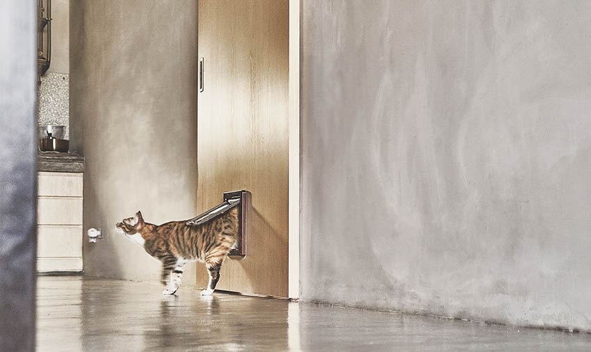 宠物宅设计！专为毛小孩规划-9