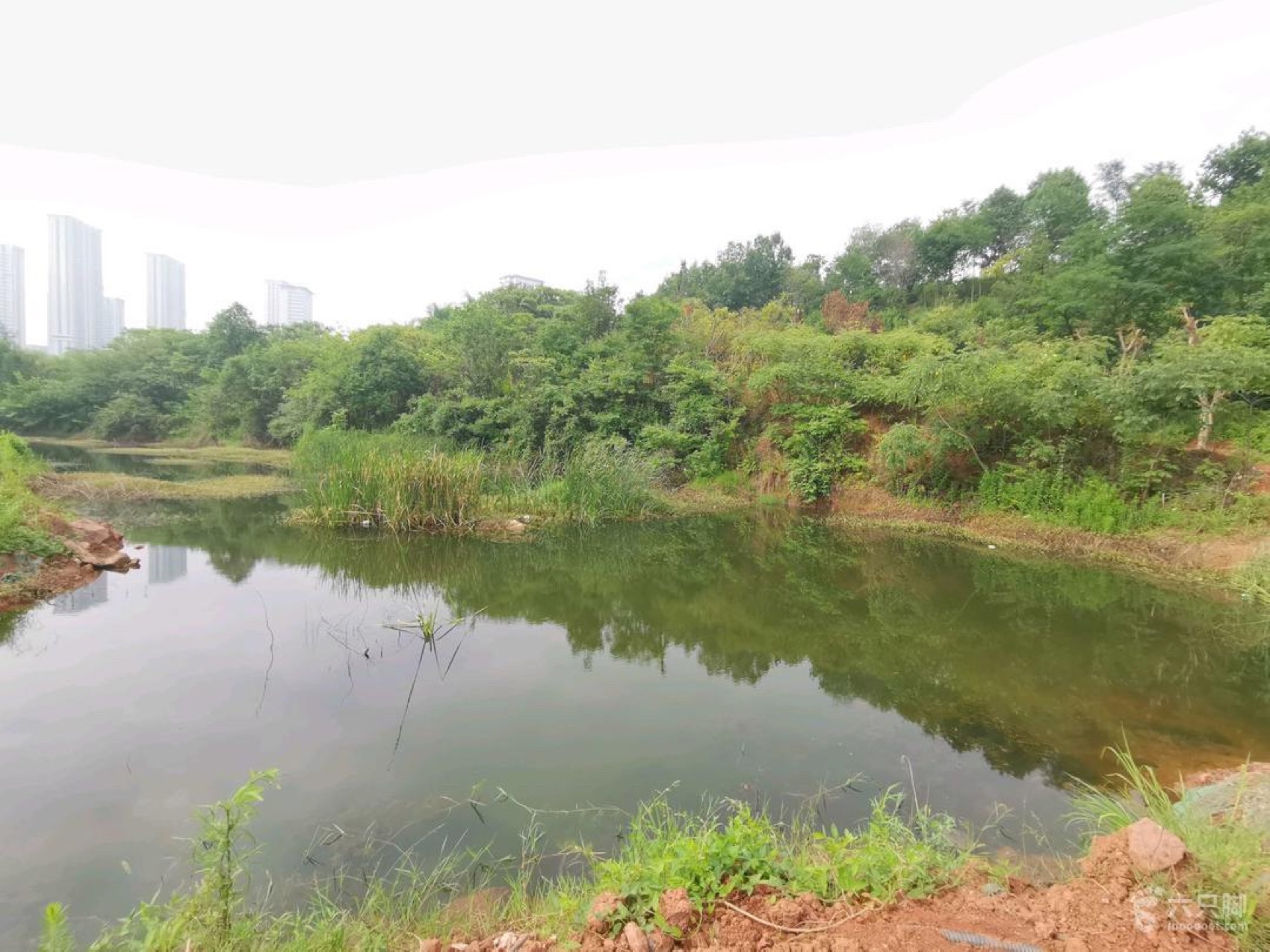 麓野公园丨中国成都丨四川乐道景观设计有限公司-222