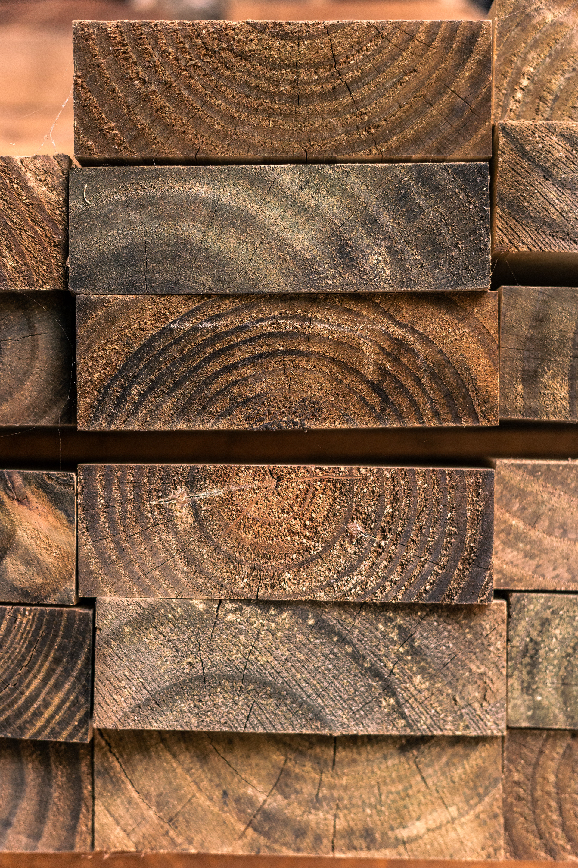 Maderera / Lumber company-7