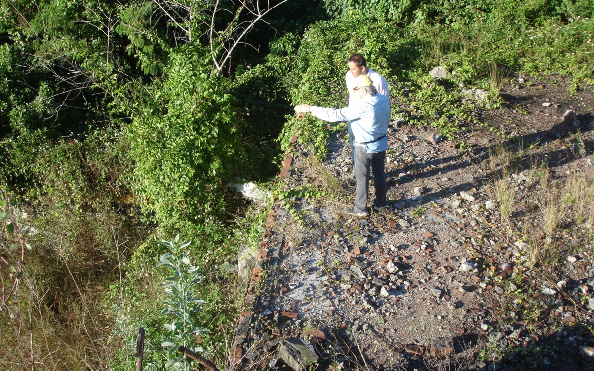 自然的生长花园PRADO PARK / Edgar Mazo-44