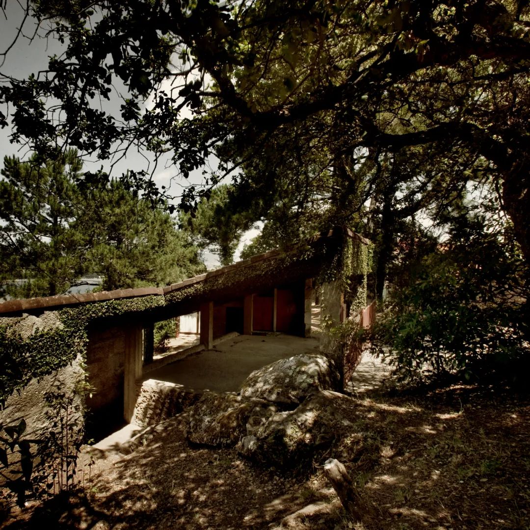 休斯·比列特丨比利时丨Huib Hoste-65