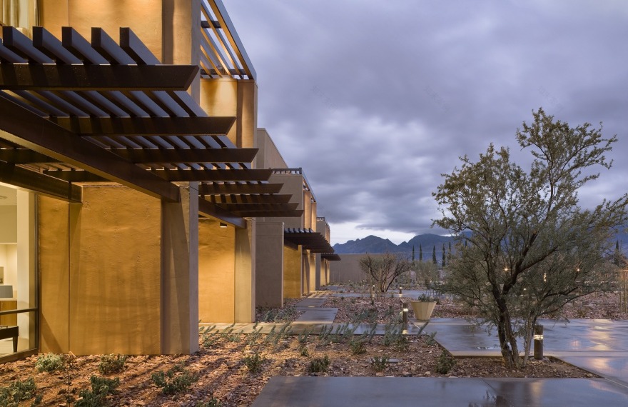 university of arizona cancer center-0