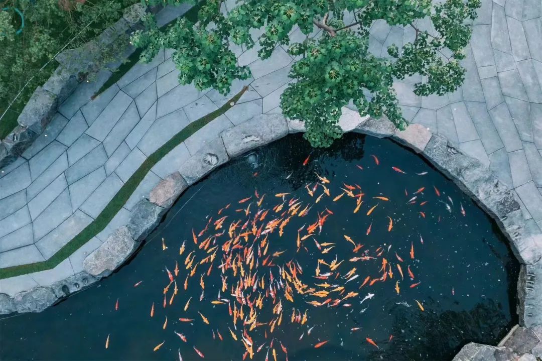 金沙东院大区丨中国商丘丨道合设计-29