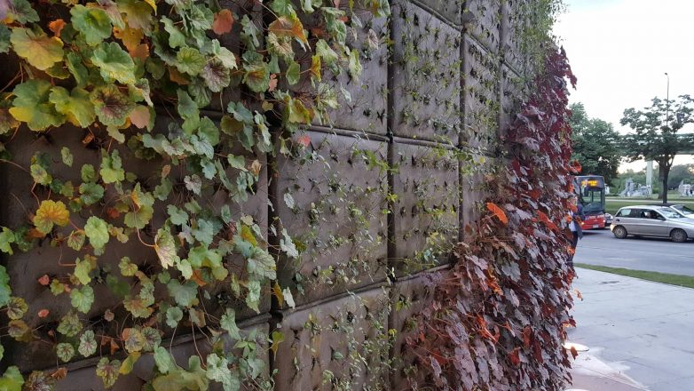 Ada Mall购物广场丨贝尔格莱德丨英国Design International-22