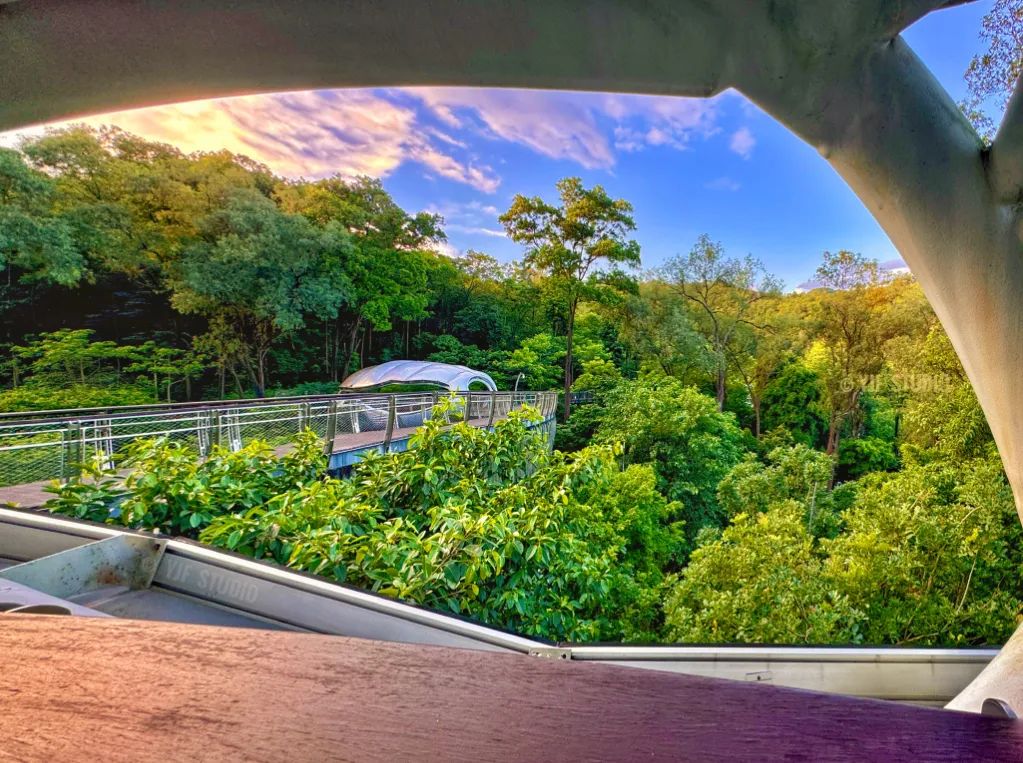 广州云萝植物园丨中国广州丨广州普邦园林股份有限公司-27