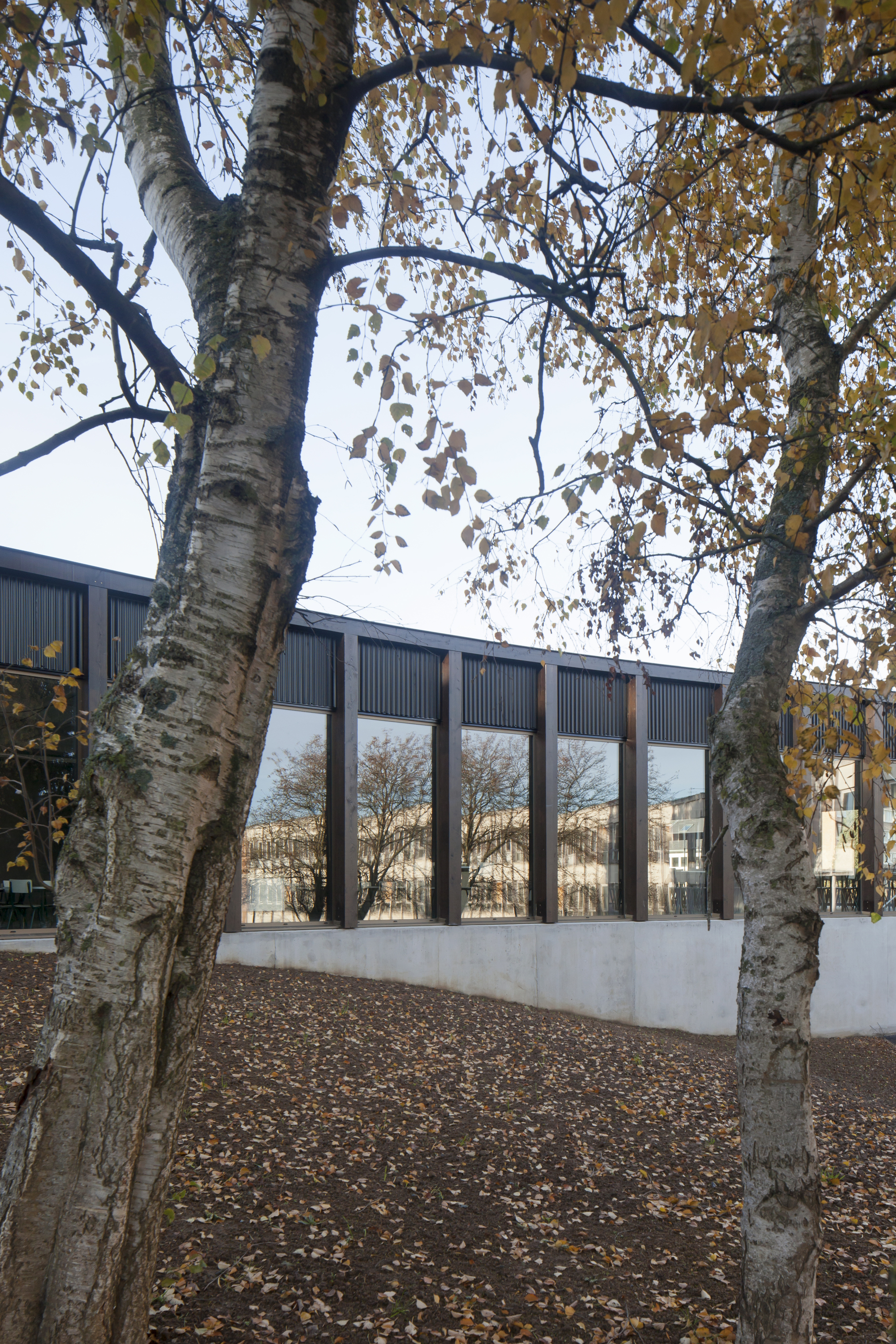 School Cafeteria and Multipurpose Room  / LT2A-24