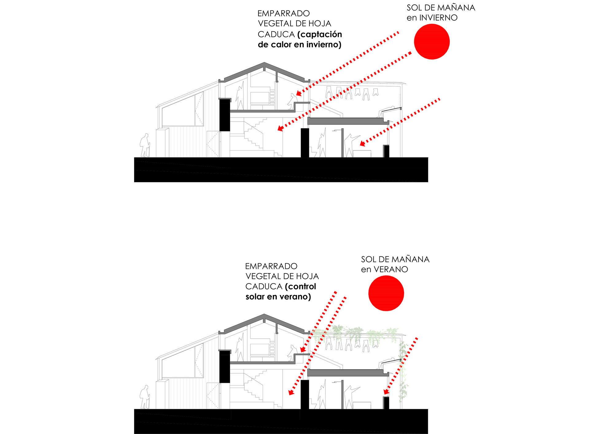 索布拉多养老金丨西班牙丨EeG arquitectos-38
