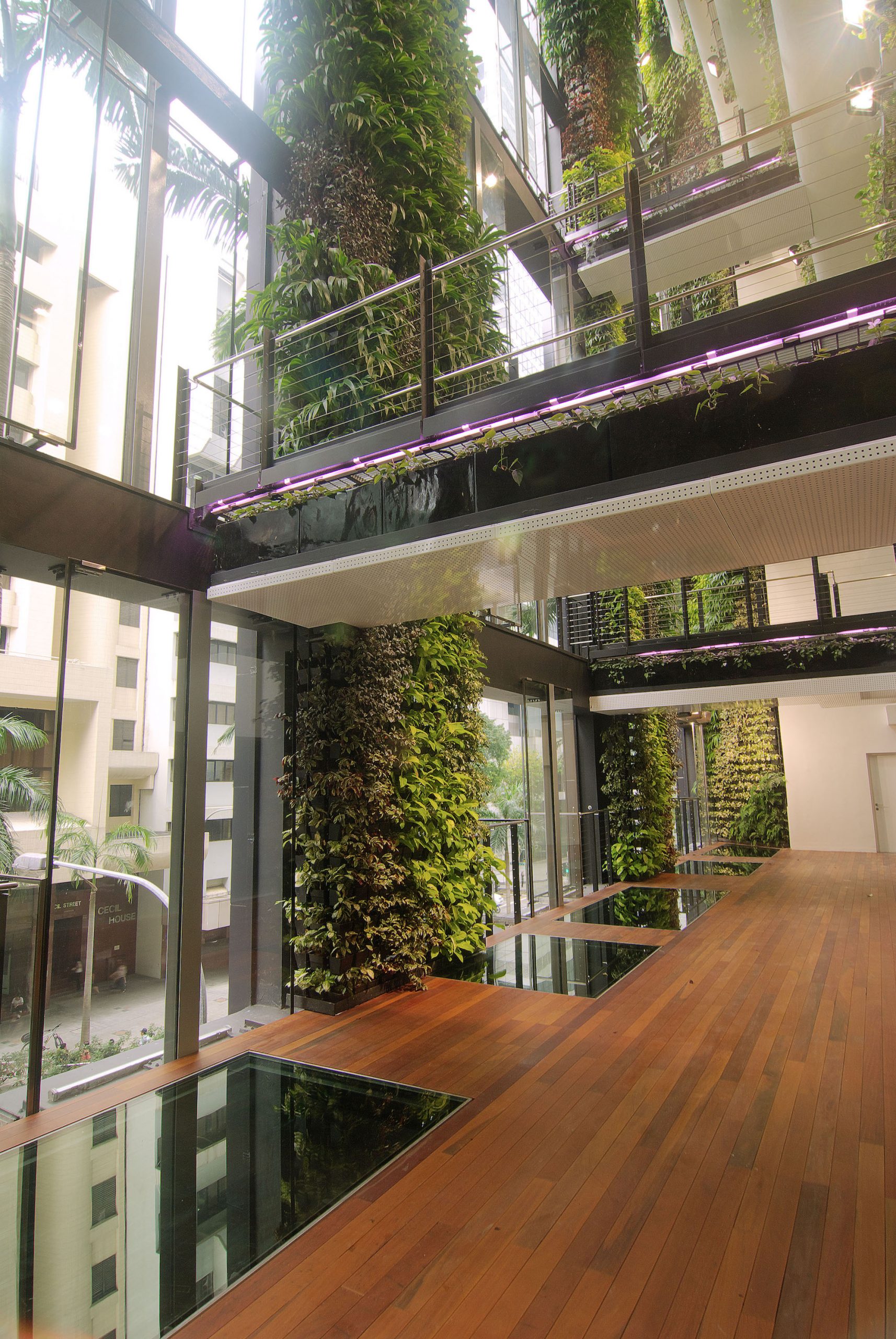 新加坡塞西尔街 158 号垂直绿化景观丨Tierra Design (S) Pte Ltd-8