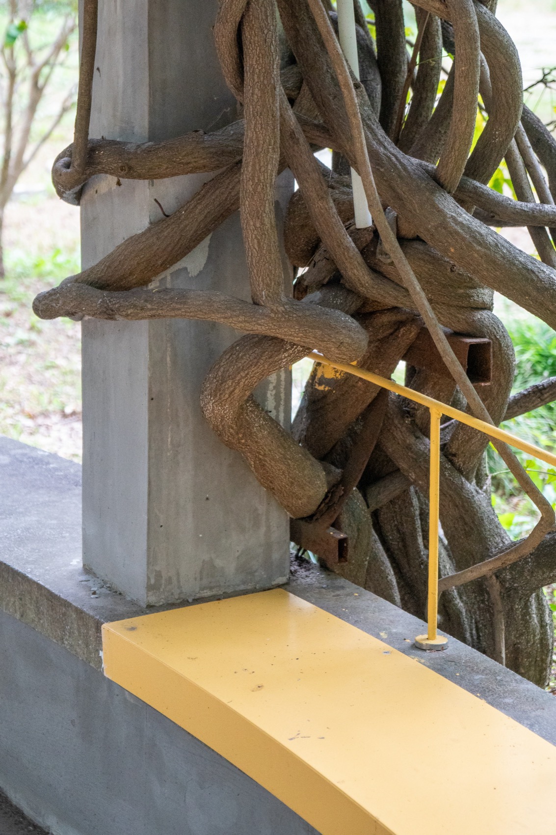 舞台·上海罗山花苑社区微更新丨中国上海丨衍述设计-67