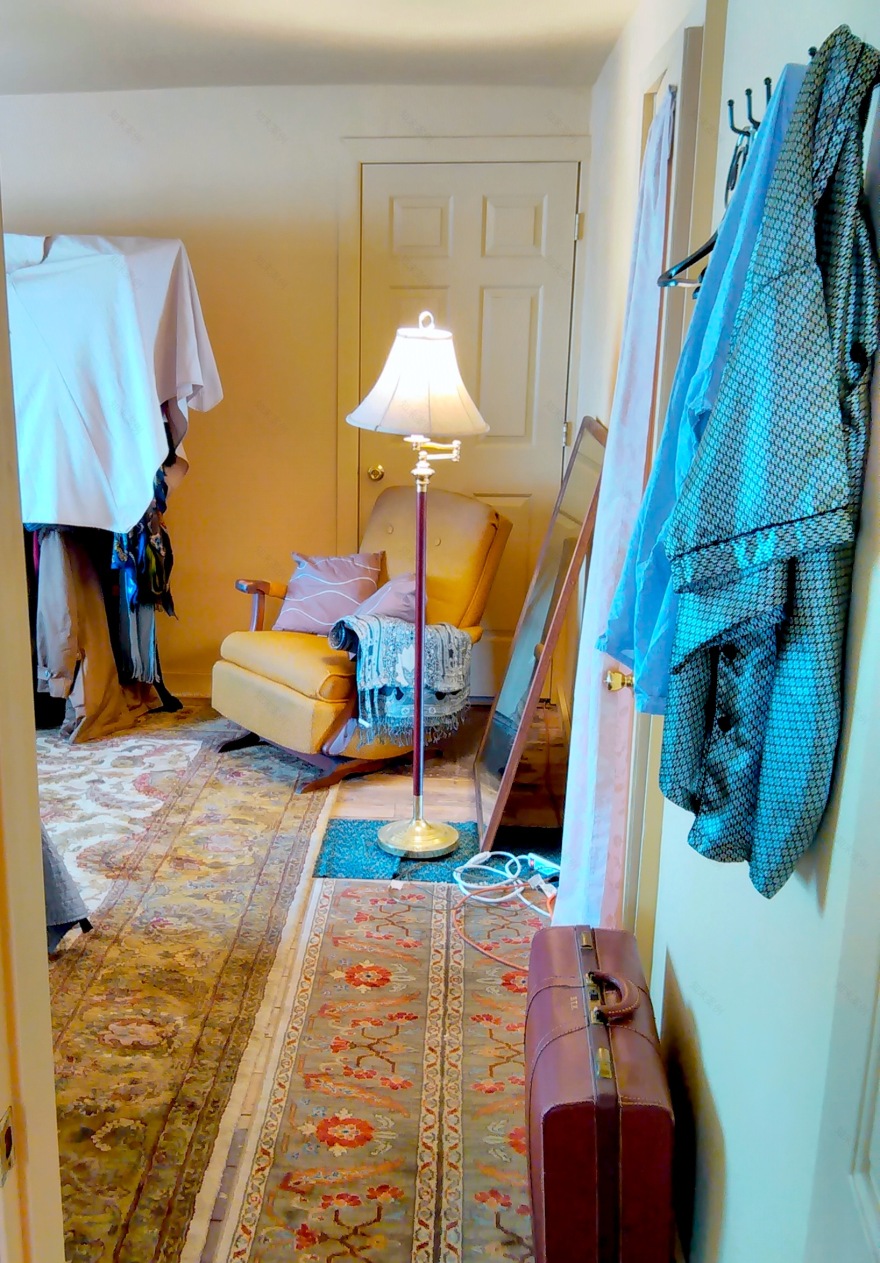 复古复兴 | 19 世纪 50 年代美国宾夕法尼亚州小威尼斯建筑群-114