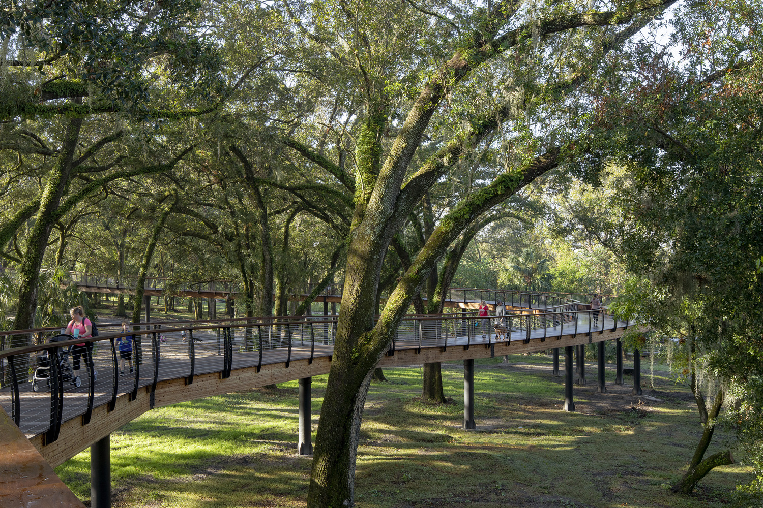 美国 Bonnet Springs 公园丨佐佐木-18