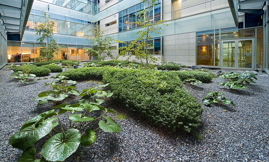 Madrid 办公大楼庭院花园 · 有机自然主义的设计实践-2