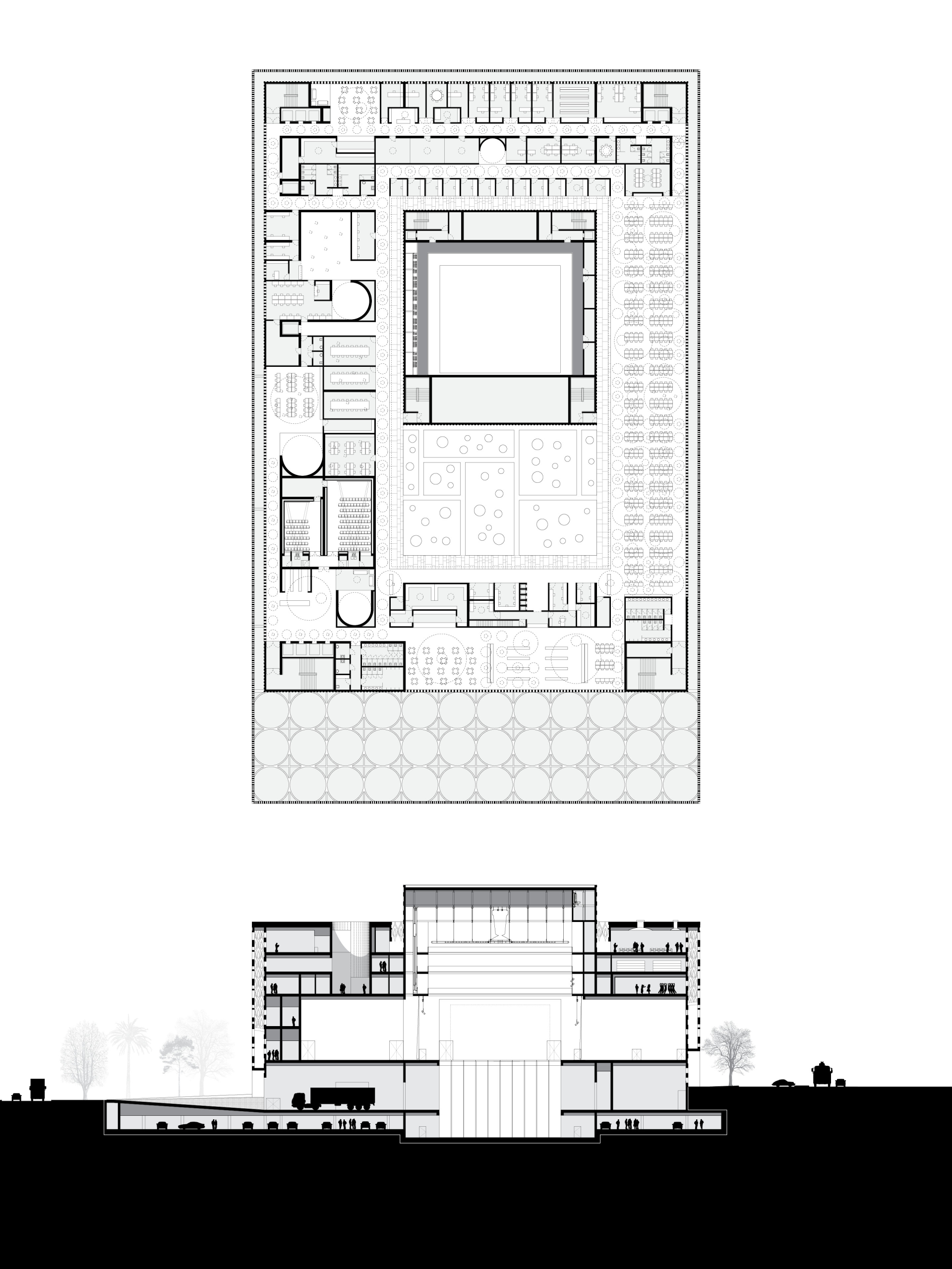 丨叙利亚丨Conser Syria-19
