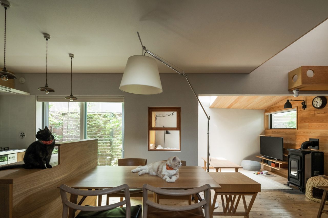 kotaハウス | 100 Life | AIBA 100 Story-6