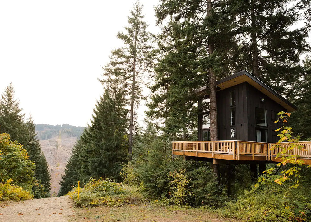 华盛顿州悬浮树屋-17