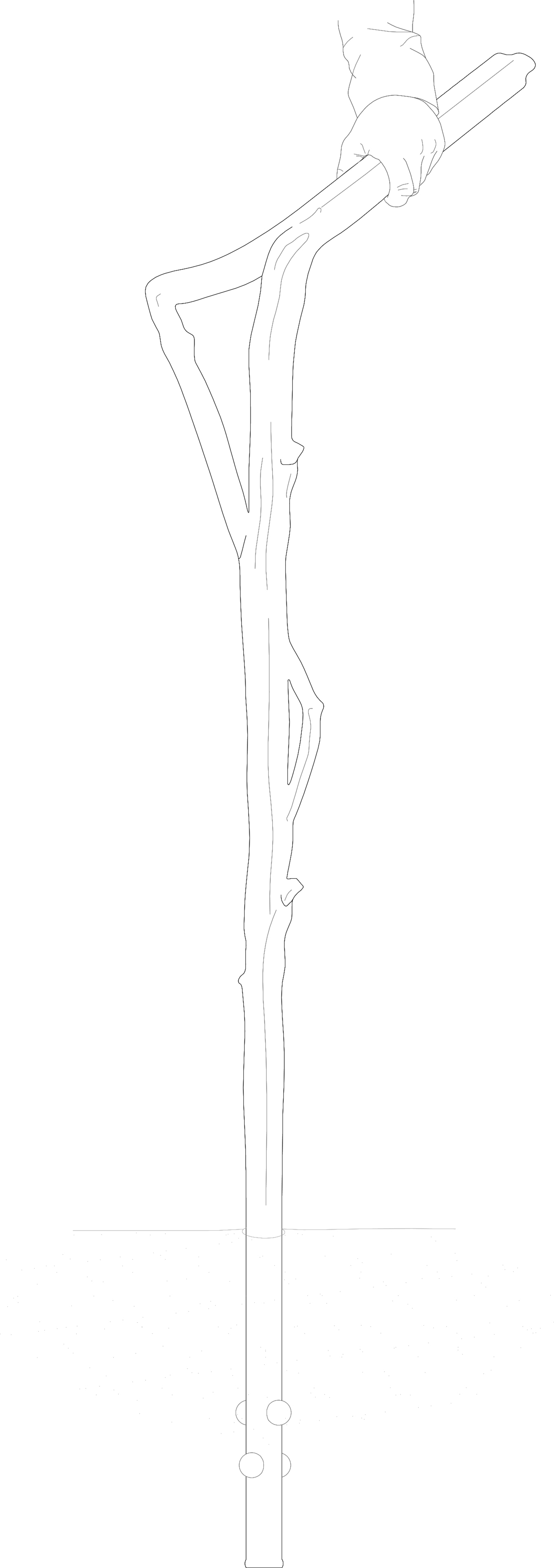 7000 Oaks 与城市生态共生的艺术设计-61