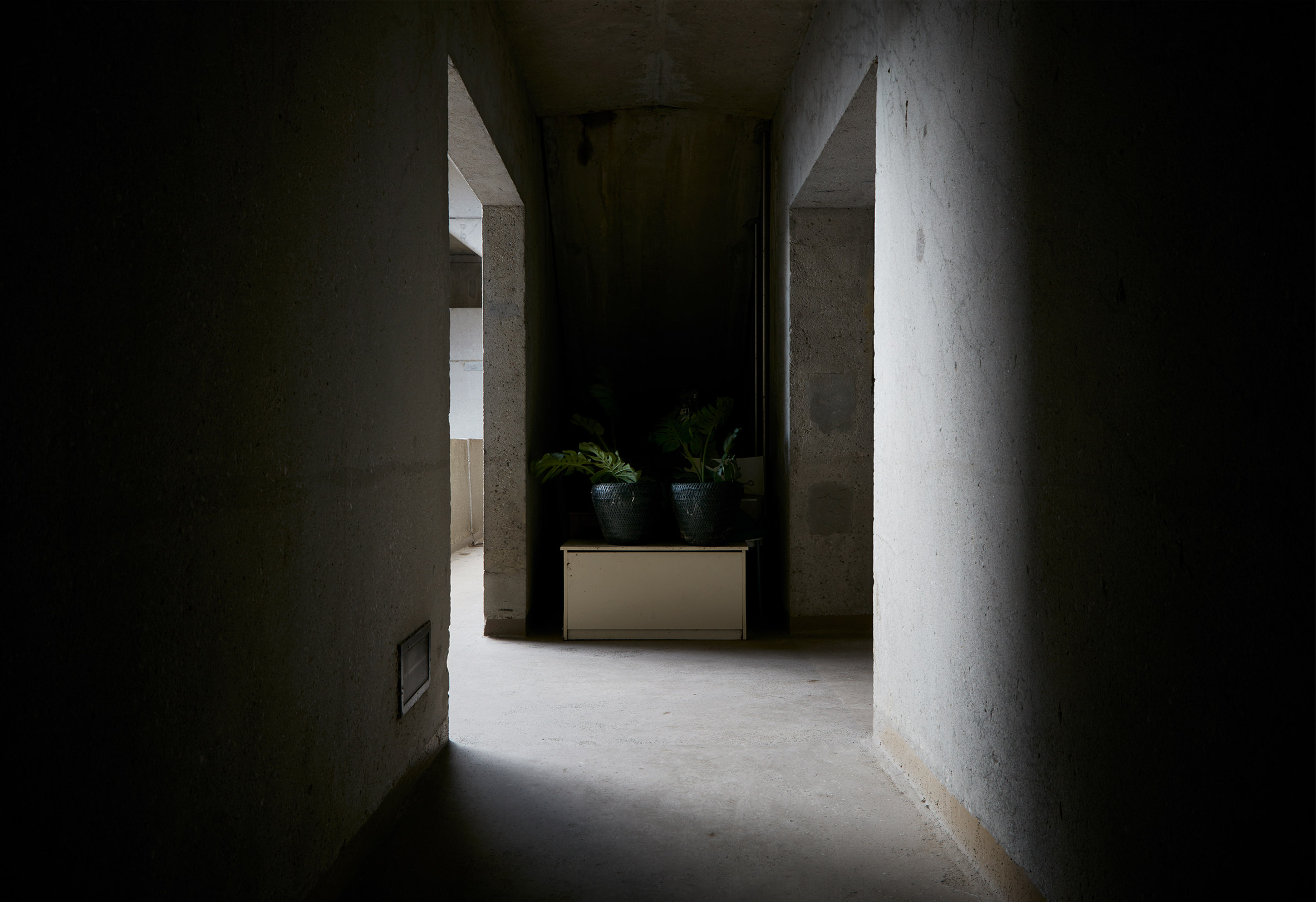 Photographs capture cats, laundry and everyday life in Moshe Safdie's Habitat 67-18