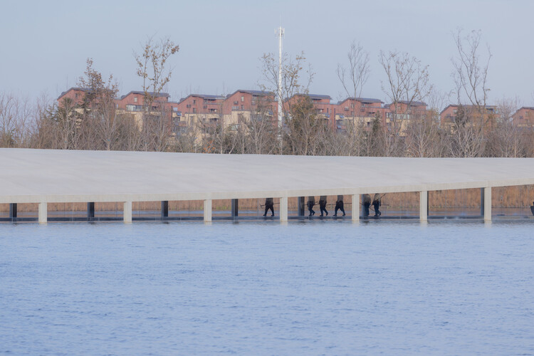 丨中国日照丨junya ishigami + associates-44