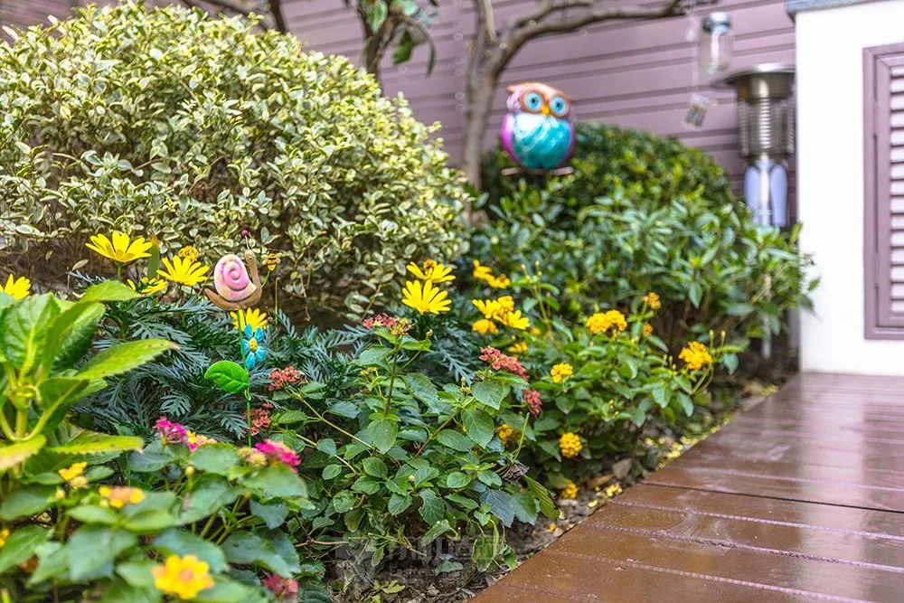 花园植物搭配的艺术与功能-57