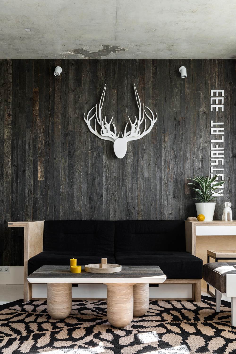 莫斯科 Archpole 公寓设计丨俄罗斯莫斯科丨建筑师康斯坦丁·拉古丁-14