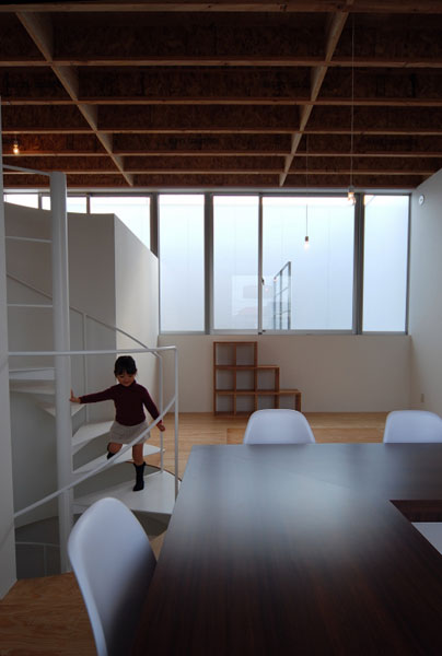 丨日本丨有限会社COGITE-17