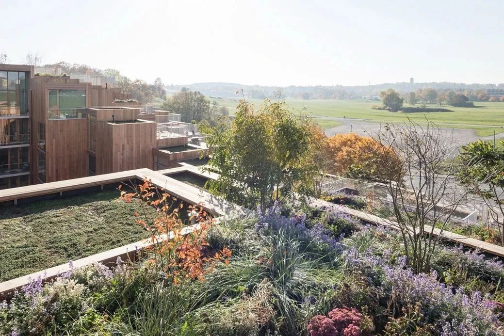 中外的“第四代住宅”的深度案例总丨中国上海丨上海天华-12