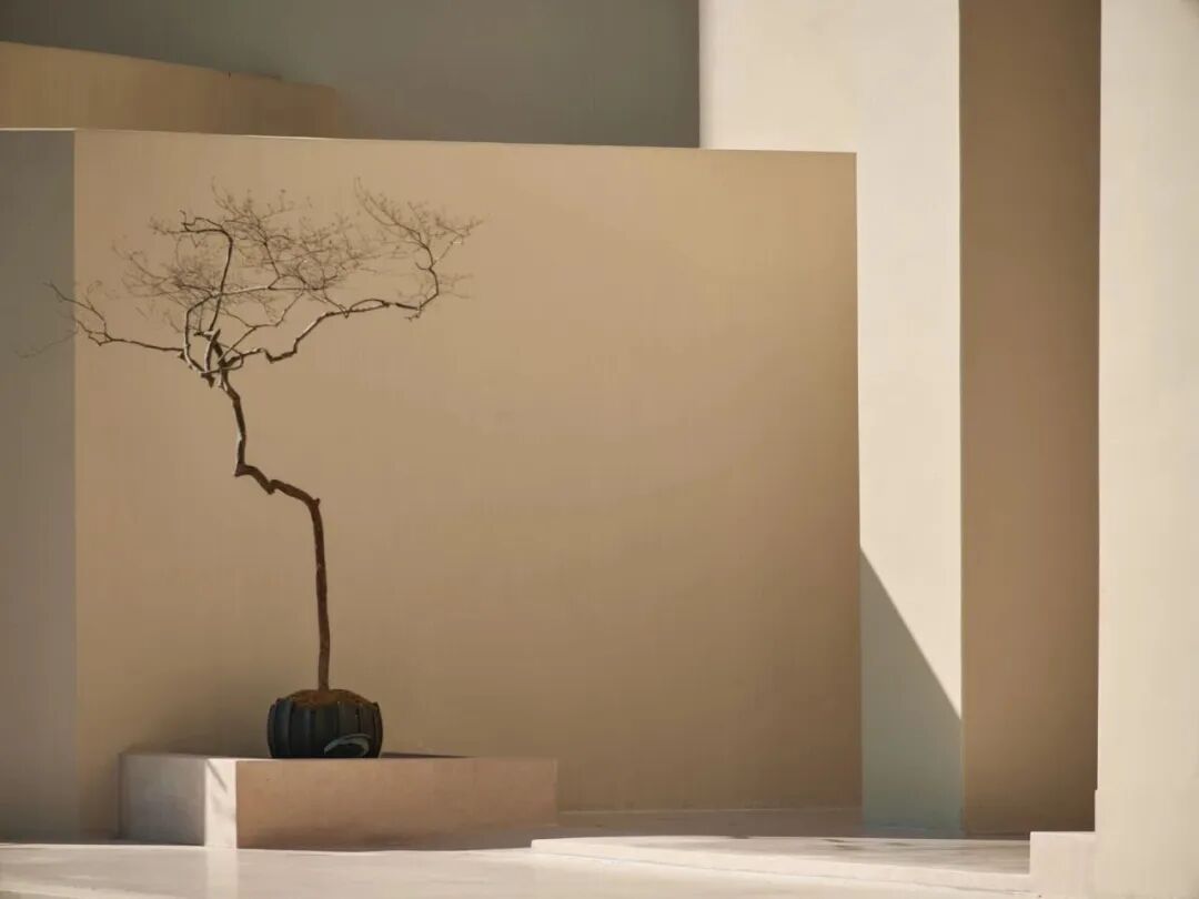 特色酒店设计·时间的河·岛屿酒店(湖州“时间的河”文旅度假酒店)丨中国湖州-12