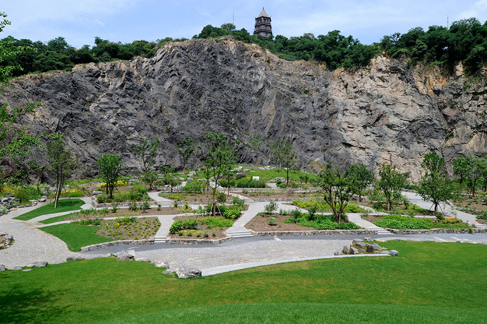 上海辰山植物园-57