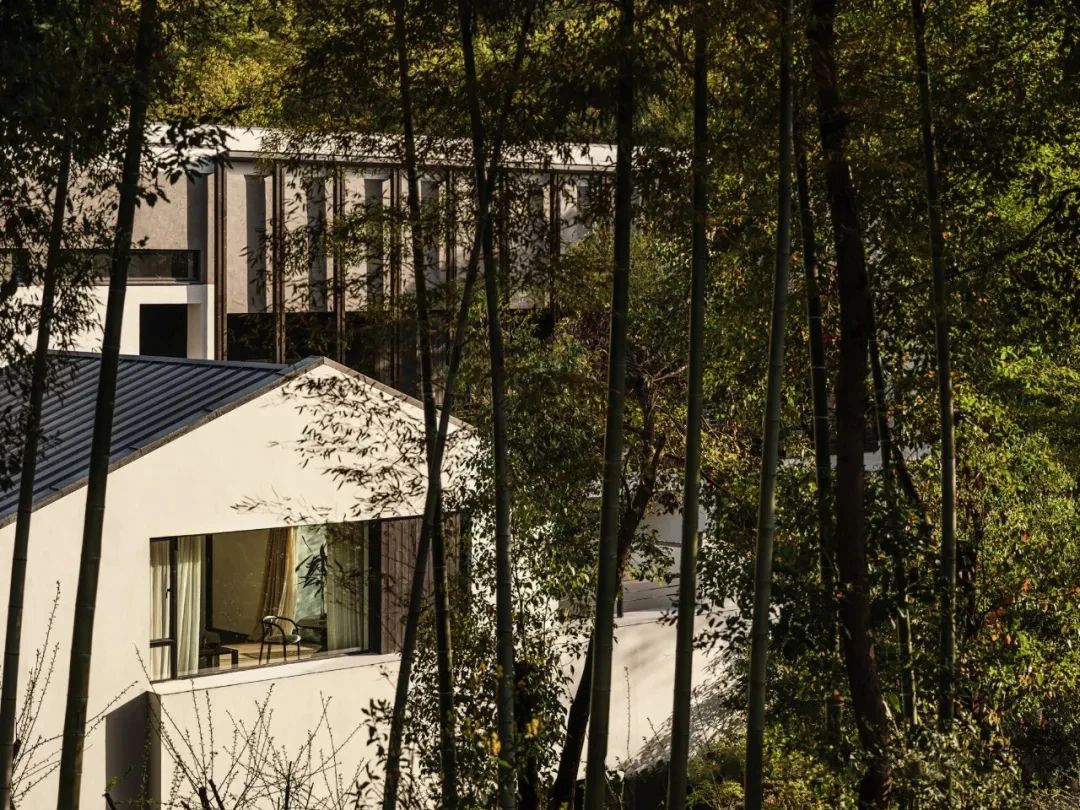 春山在望丨中国江苏丨尚壹扬设计-24