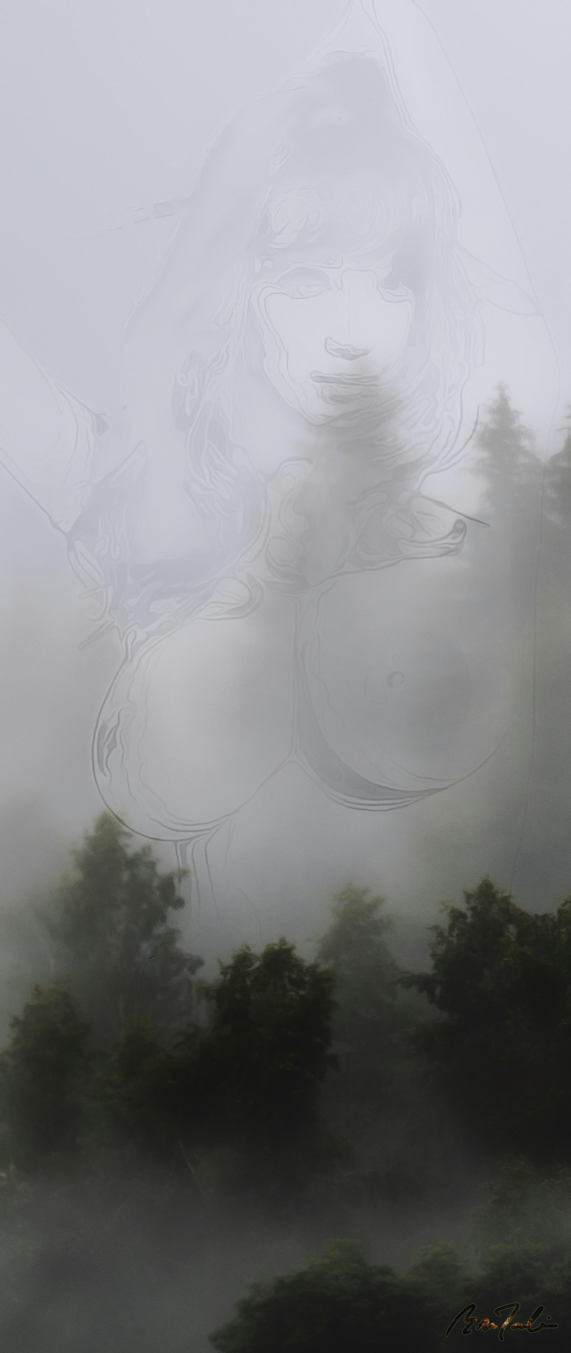 世界上的树木丨Sylvie D.-251